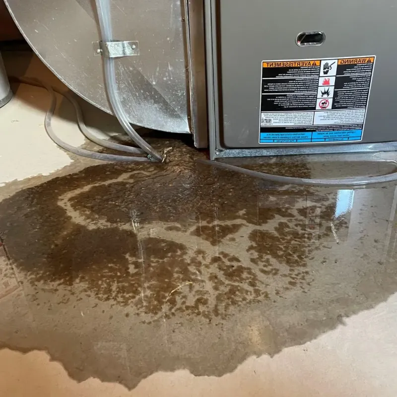 Pipe Burst and Leak Restoration in Grimes, IA