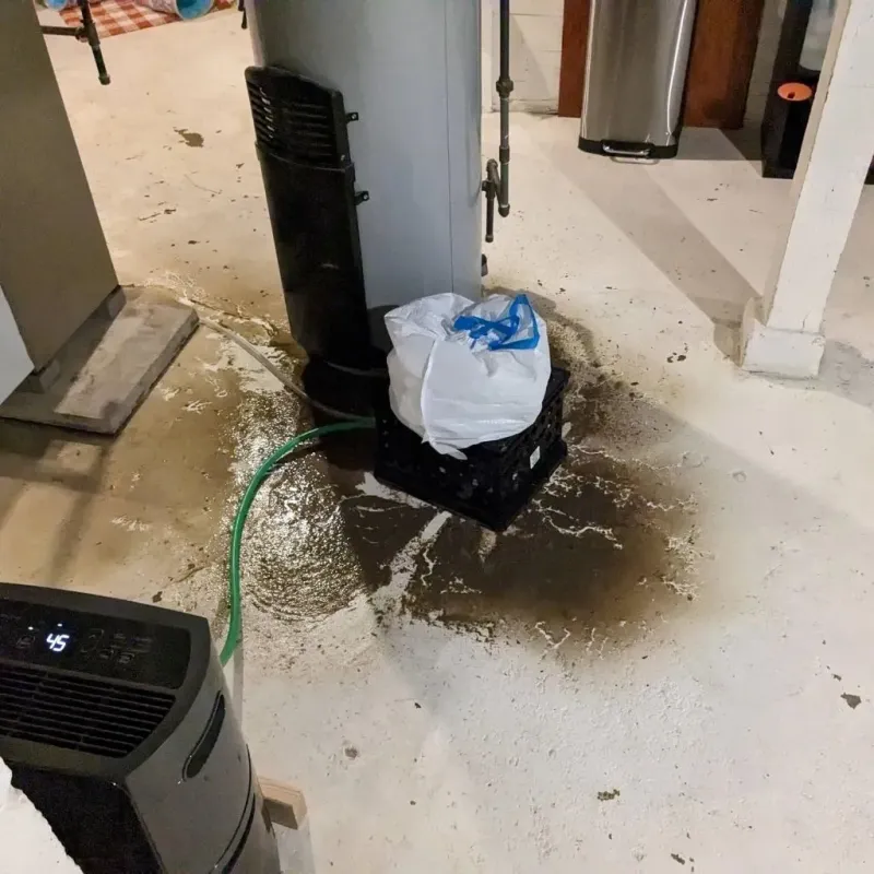 Sewage Backup Cleanup Service in Grimes, IA